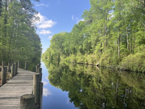 A serene canal lined with lush green trees, reflecting the blue sky and clouds, with a wooden walkway beside it.