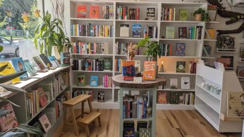 A cozy bookstore interior with shelves of books, a small table, and plants, creating a welcoming reading space.