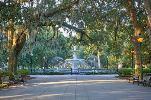 A serene park scene featuring a fountain surrounded by lush trees and benches, with soft morning light filtering through.