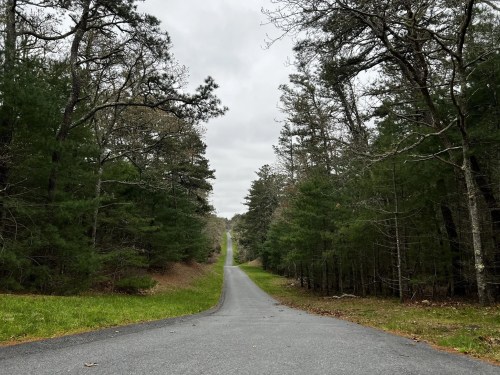 A winding road stretches through a forest, flanked by trees under a cloudy sky.