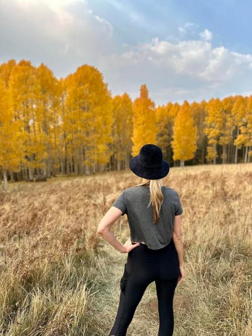 A person in a gray shirt and black hat stands in a field, facing vibrant yellow trees under a cloudy sky.