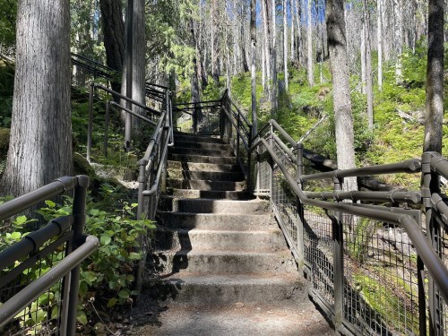 A winding staircase surrounded by trees and greenery, leading up through a forested area.