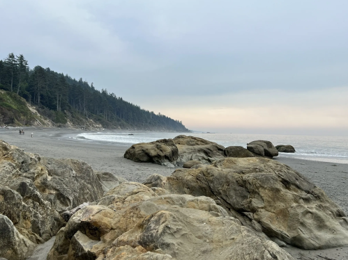 A rocky beach scene with gentle waves, surrounded by trees and a cloudy sky in the background.