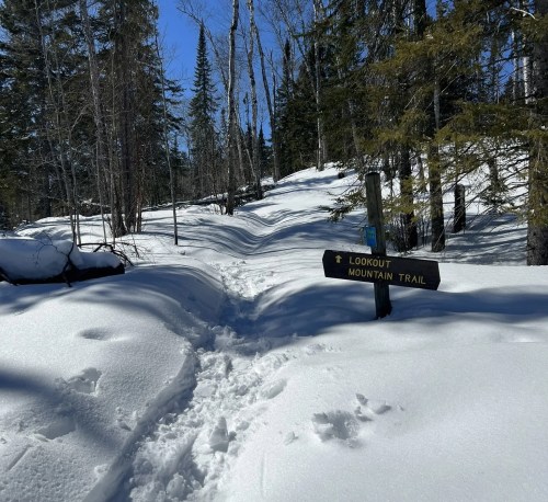 A snowy trail leads through a forest, marked by a sign for Lookout Mountain Trail under a clear blue sky.