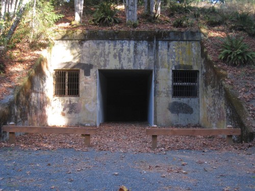 An old, weathered concrete bunker entrance surrounded by trees and fallen leaves, with barred windows.