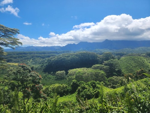 Lush green landscape with mountains and clouds under a bright blue sky, showcasing vibrant vegetation and natural beauty.