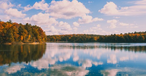 fall colors surround walden pond as white clouds are reflected in its waters