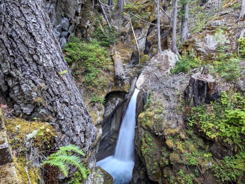 A serene waterfall cascades through a rocky gorge, surrounded by lush greenery and towering trees.