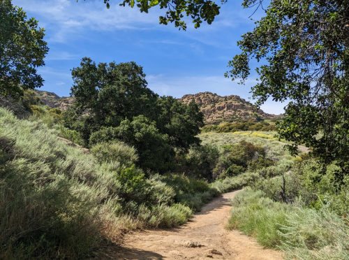 A winding dirt path through lush greenery, leading to rocky hills under a clear blue sky.