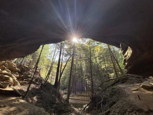 A view from Whispering Cave in Ohio, facing out into a rich green forest broken only by a sun flare.