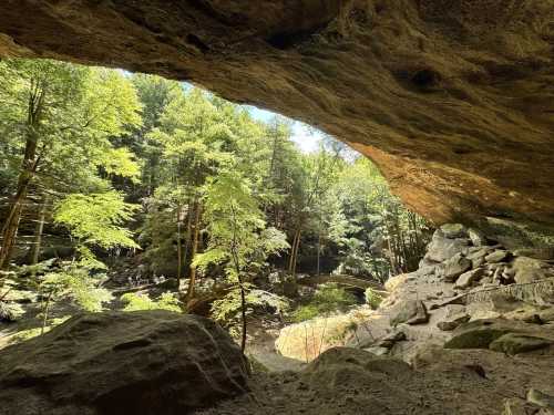 Looking out into a green forest from Whispering Cave in Hocking Hills, Ohio.