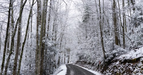 A winter road in Tennessee with snowfall.