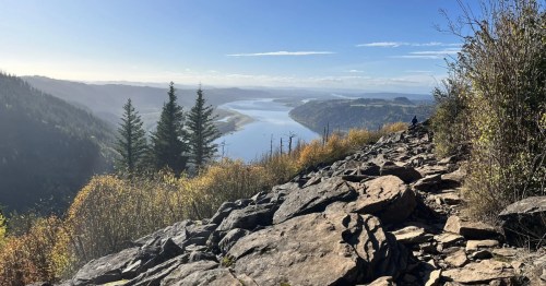 A view of the Columbia River Gorge on an autumn day from an overlook along an Oregon hiking trail.
