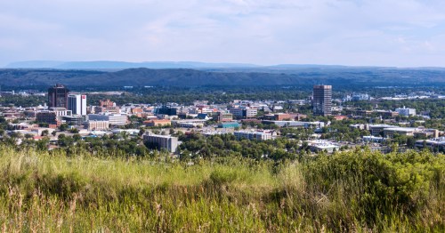 Standing on a grassy hill, overlooking the city of Billings, Montana, on a summer day.