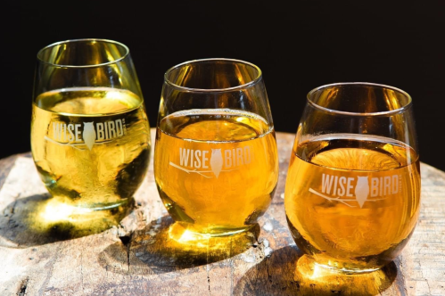 Three glasses of Wise Bird Cider Co. apple cider on a wooden surface.