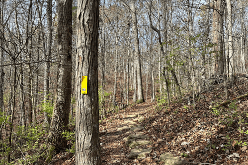 Path of the Wild Hyacinth Trail, a 1.4-mile trail in Turkey Run Park