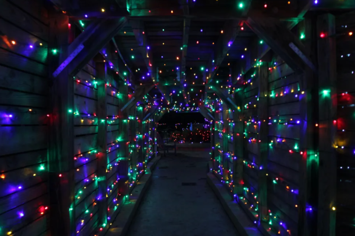 the-7-best-christmas-lights-near-me-christmas-lights-in-virginia