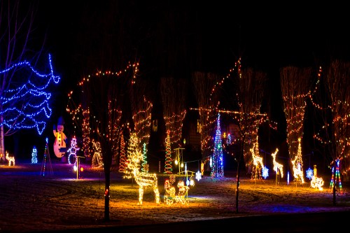 Front yard decorated with colorful Christmas lights during the Drive of Lights tour.