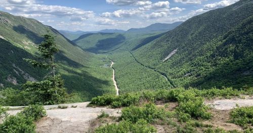 A forested overlook of a valley.
