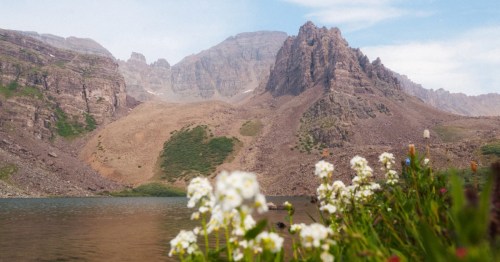 Wildflowers frame a serene alpine lake and the jagged, rugged peaks of the Cathedral massif.