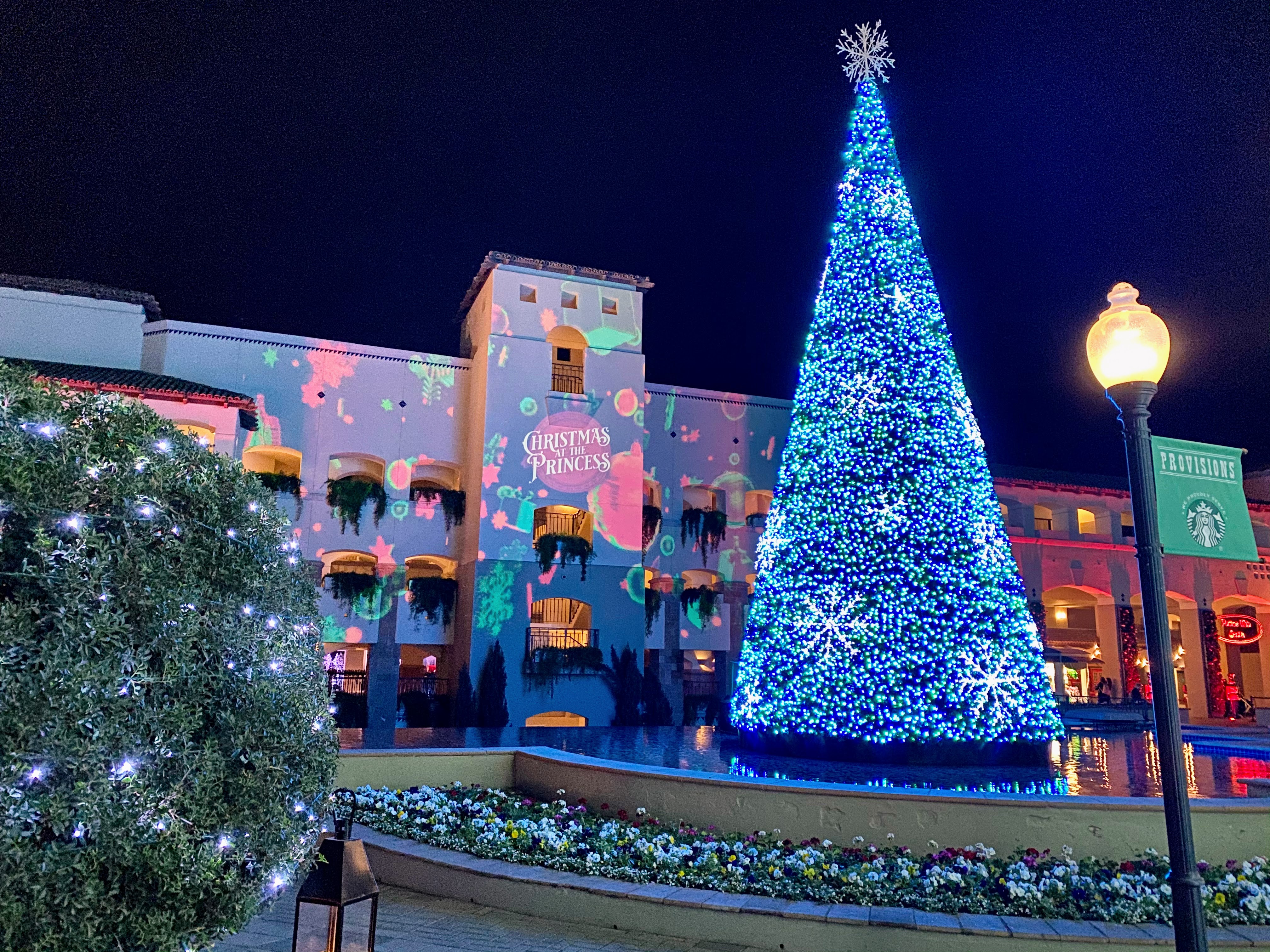 Scottsdale, Arizona: My Hometown for the Holidays