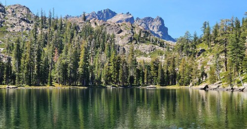 An alpine lake surrounded by towering pine trees and the Sierra Mountains on a summer day in Northern California.