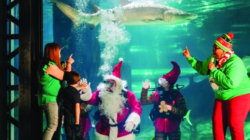 A mother and child greet an underwater Santa Claus and another scuba diver as a festive Greater Cleveland Aquarium staff member gestures to a shark swimming through the tank.