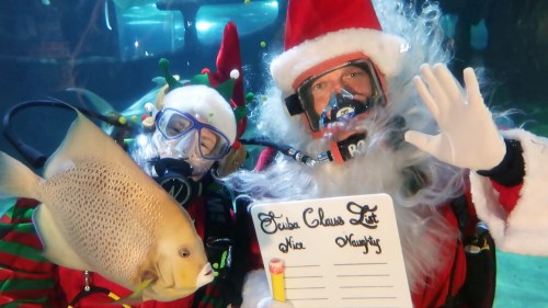 A scuba-diving Santa holding a naughty and nice list next to a scuba-diving elf pose with a fish in the Greater Cleveland Aquarium.