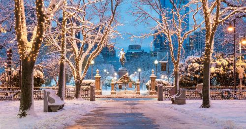 Winter Scene in Boston park