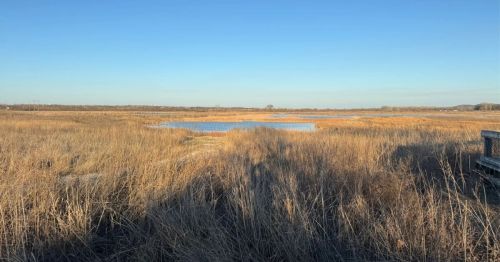 Baker Wetlands Trail in Kansas