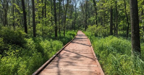 Denise Klemp/AllTrails