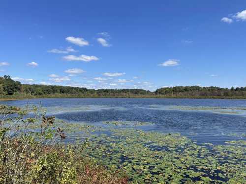 A blue kettle lake with lily pads is surrounded by distant forests, all wrapped under a bright blue Ohio sky.