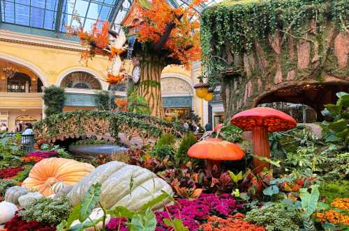 Bellagio Conservatory & Botanical Gardens. : Free attraction in Las Vegas Nevada