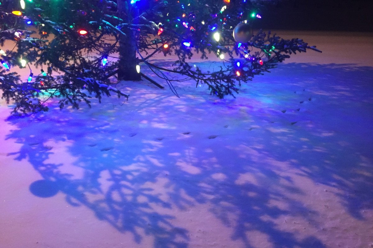 My Hometown of Stillwater Is One of the Best Christmas Towns in Minnesota