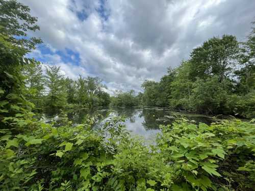 A greenery-surrounded lake in Chardon, Ohio reflects the cloudy sky.