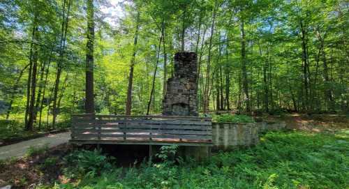 All Persons Trail: Can't-miss Hike In Maine