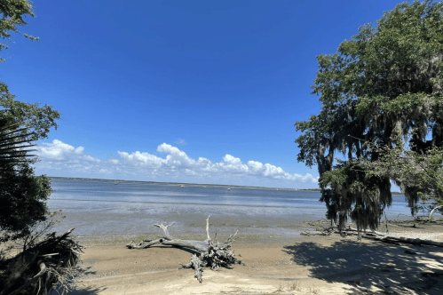 Beach on a hiking trail in the Cumberland Island National Seashore