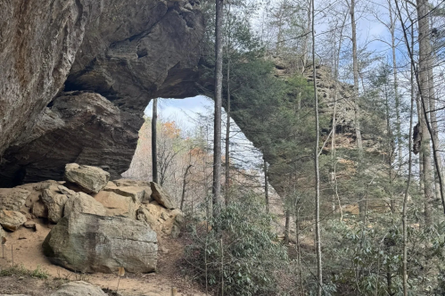 View of Gray's Arch in winter from a hiking trail in the Red River Gorge Geological Area.