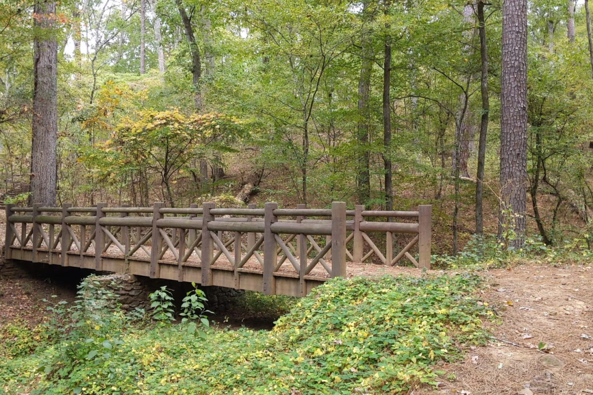 Little-Known Hiking Path in Texas: Caddo Lake State Park Pine Ridge Loop