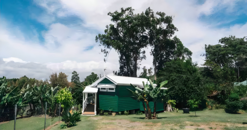 A green tiny home sits in the middle of a field, surrounded by foliage.