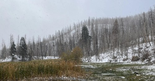 A light dusting of snow covers a mountain and meadow in a Utah forest.