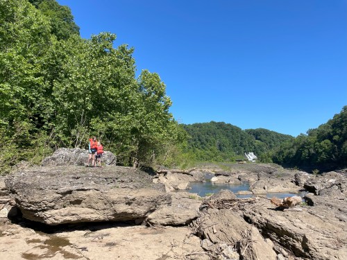 alt