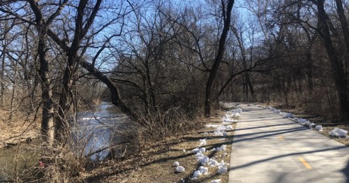 Paved section of the Gary L. Haller trail next to Mill Creek. Shows the moderately challenging path near the stream.