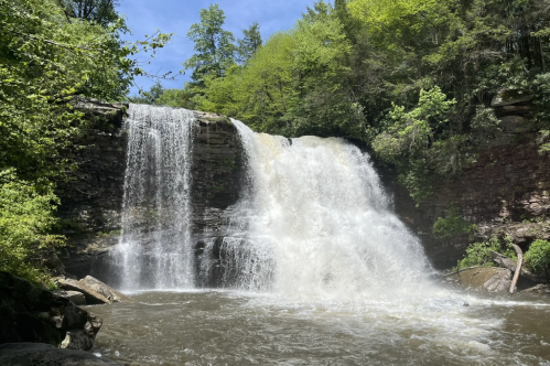 Muddy Creek Falls cascades powerfully over dark rocks into a churning pool, surrounded by green forest under a bright sky.