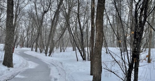 Winding, cleared path through a dense, snow-covered forest of bare trees in Oak Park on a winter day.