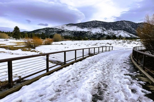 Lesser-known hiking path in Zephyr Cove Nevada
