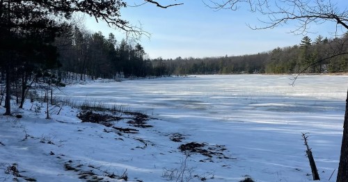 A scenic view of a frozen, snow-covered lake bordered by a line of pine trees under a clear blue sky at Pere Marquette State Forest in Michigan.