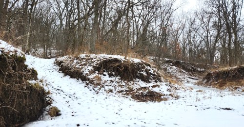 A winter landscape at Stephens State Forest in Iowa featuring a snow-covered path winding through leafless trees and eroded earthen banks.