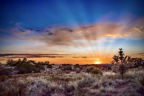 Beautiful sunset over an open field in Santa Fe, New Mexico, with warm colors lighting the sky and landscape.