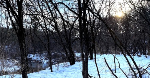 A hiking trail curves along a stream in a forest in winter as the sun starts to set.